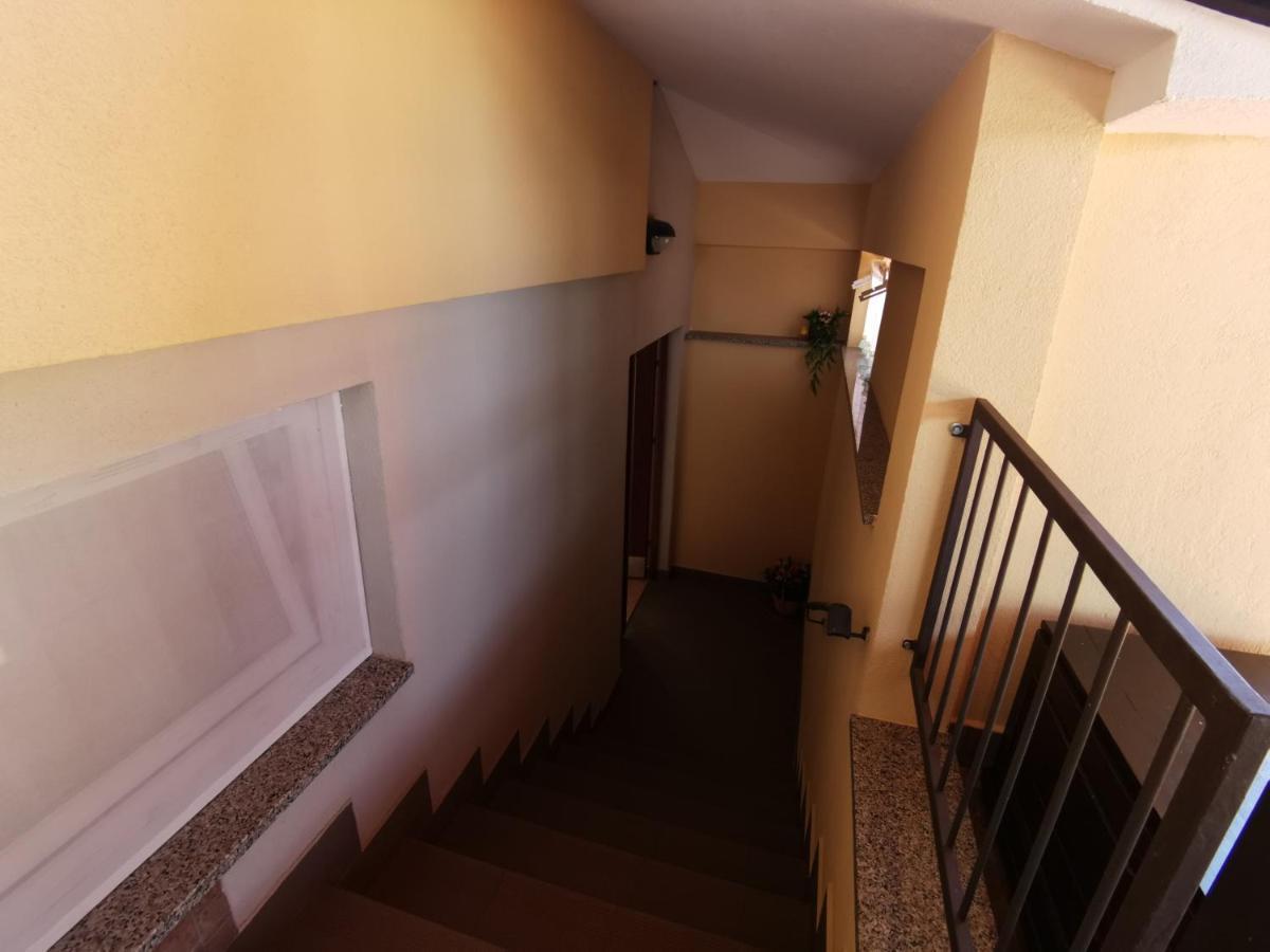Apartmani Berber Babici Εξωτερικό φωτογραφία