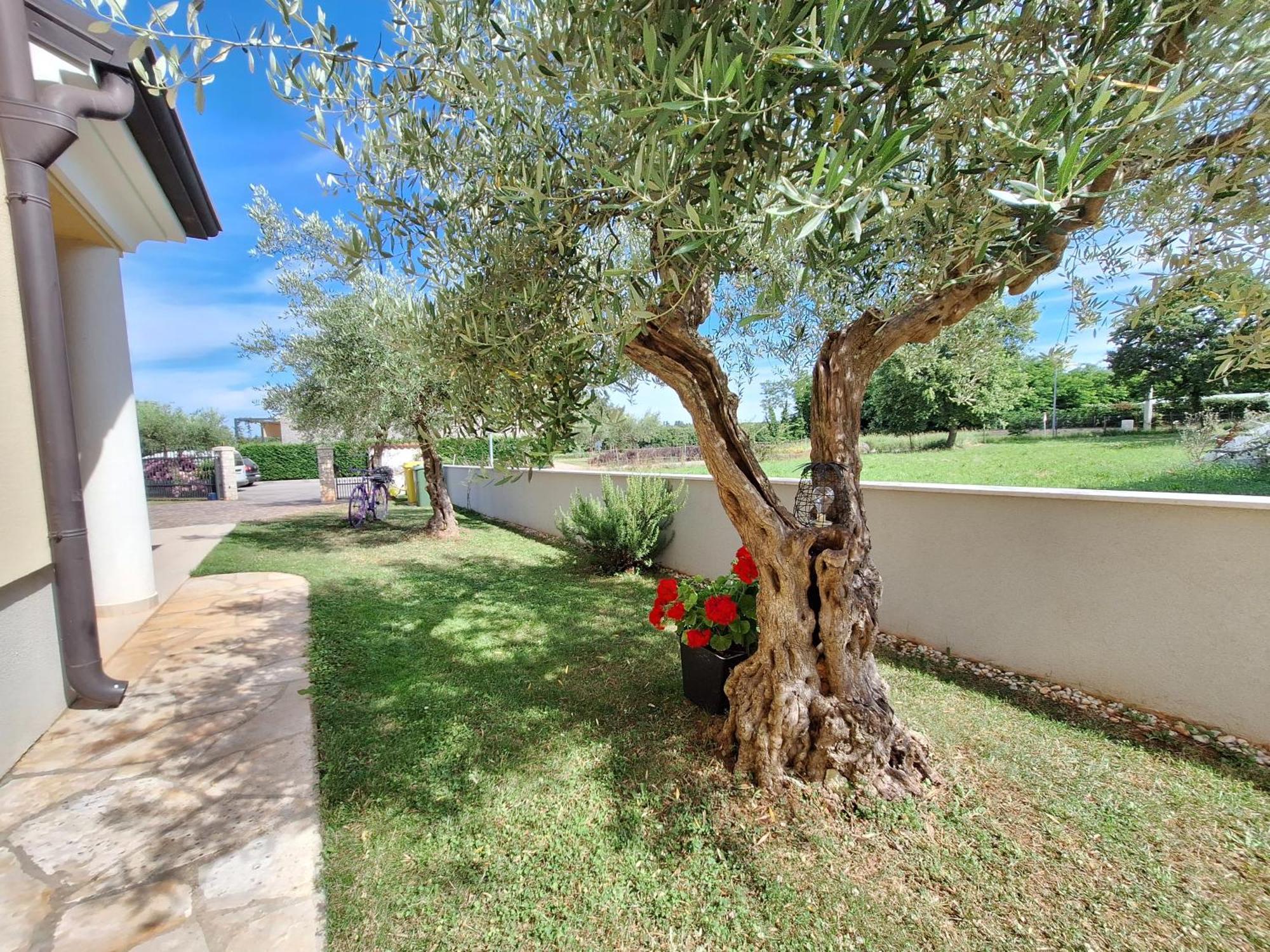 Apartmani Berber Babici Εξωτερικό φωτογραφία